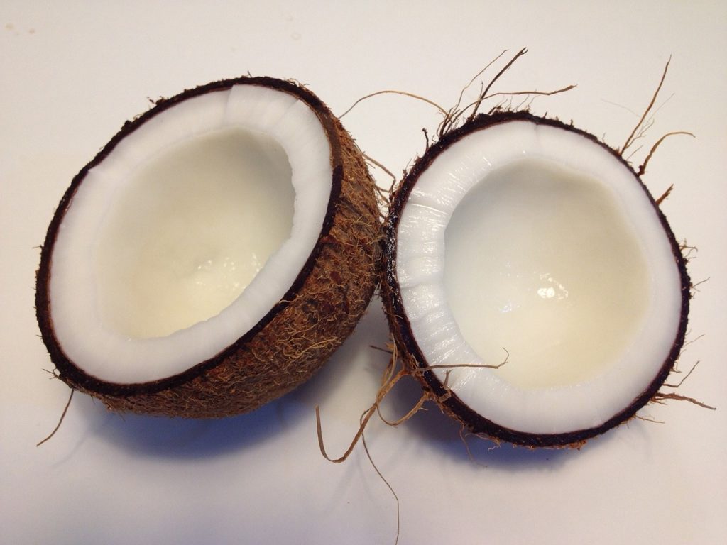coconut bra