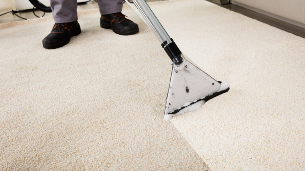 Carpet Cleaning and Sofa Cleaning Why Professional Services Matter