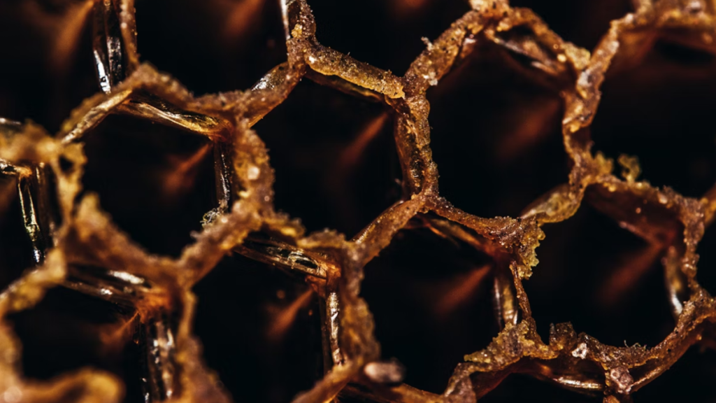 How CBD Honey Sticks Can Elevate Your Wellness Routine