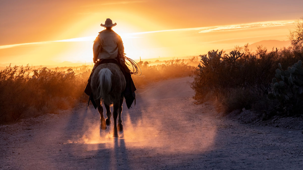 Saddle Up How Horse-Themed Dramas Are Making a Comeback in Streaming