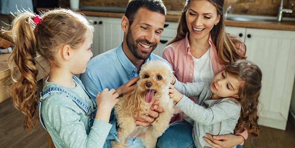 Save on Pet Care Without Cutting Corners